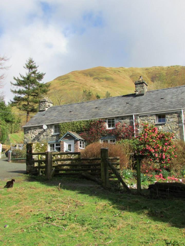 Bryn Sion Farm Dinas Mawddwy Exterior foto